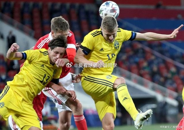 开云官方在线入口-瑞士队员发挥稳定,获得胜利晋级了吗